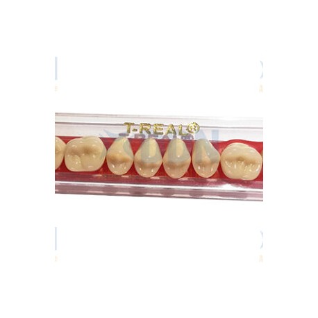 DIENTES DE RESINA TABLETA