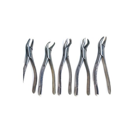 FORCEPS ACERO INOX. 53L